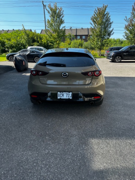 V151864_10.jpeg