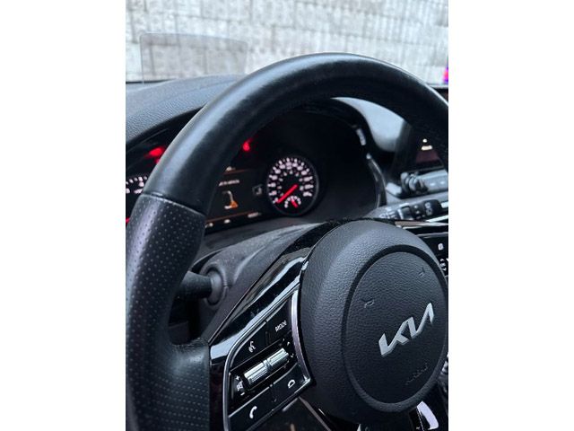 V156664_202412030353062114731.jpg