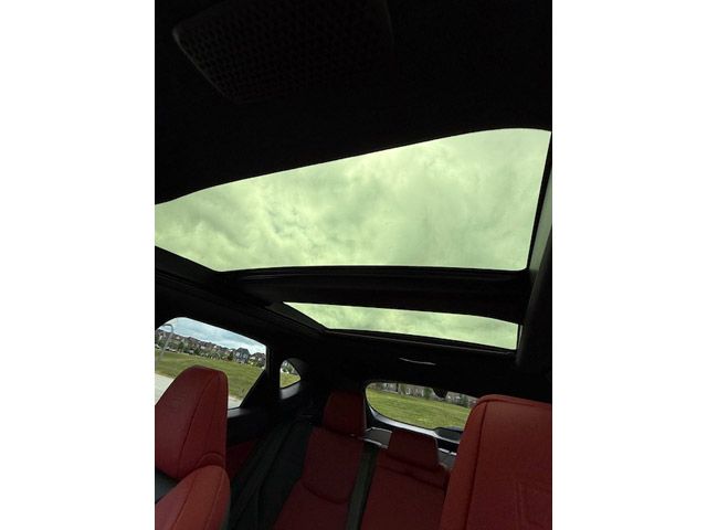 V169363_202507020442377639214.jpg