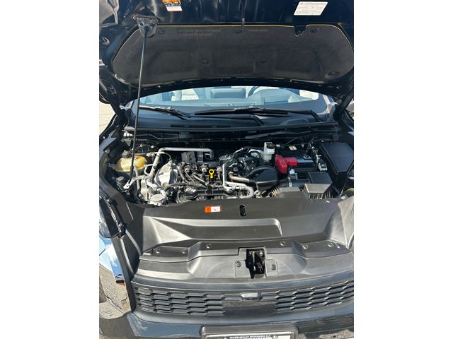 V169574_202507040858037221889.jpg