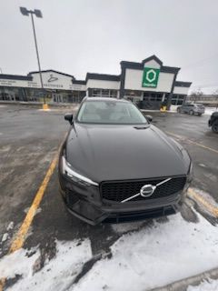 V181173_202601210835294485878.jpeg
