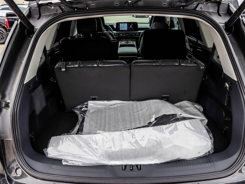 V183414_202602200916404671740.jpg