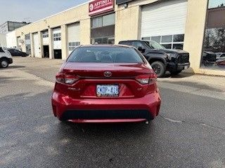 V186306_202603311131507080517.jpg