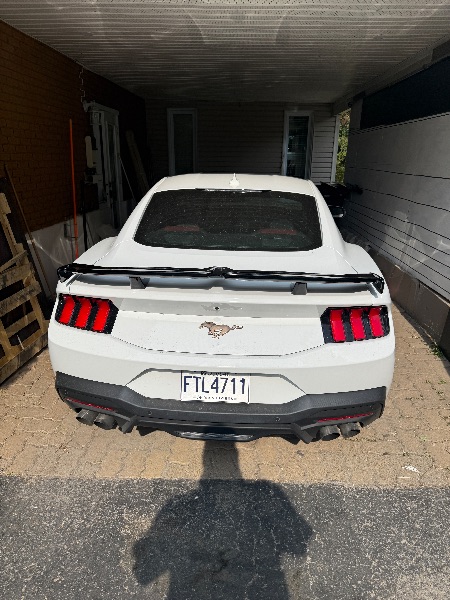 V189186_202606010655079599283.jpeg