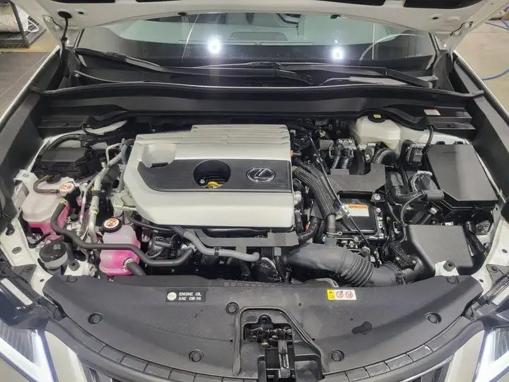 V191482_202608241101382765977.jpg