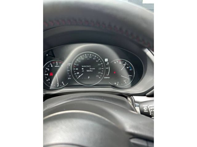 V192952_202607070346512489027.jpg