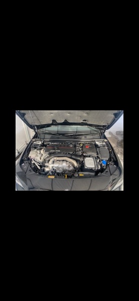 V193481_202607140251494542485.jpg
