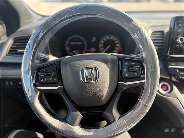 V194788_202608060802082557907.jpg
