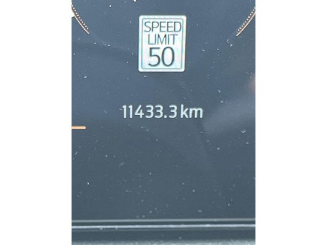 V194876_202608070816324687025.jpg