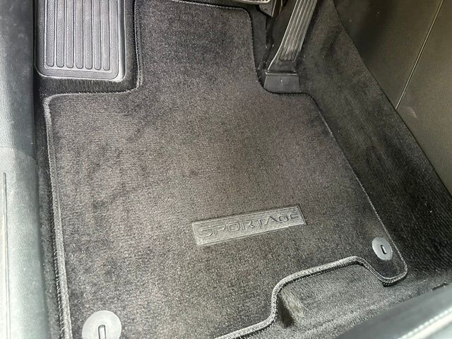 V195274_202608130158103778026.jpg
