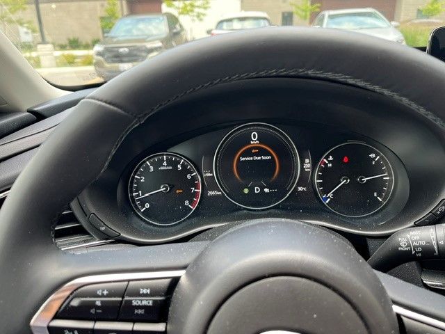 V195466_202608140807143123658.jpg