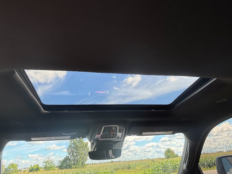 V195913_202608250606440916014.jpeg