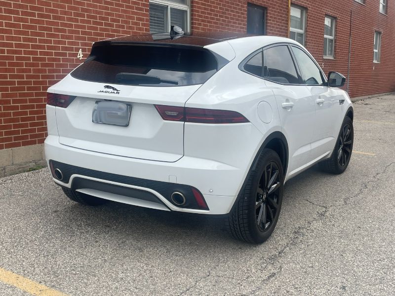 V196525_202609010816048336826.jpg