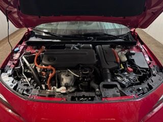 V196789_202609210155131871578.jpg