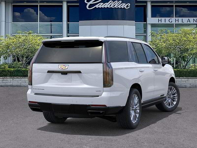 V197920_202609210540542860835.jpg