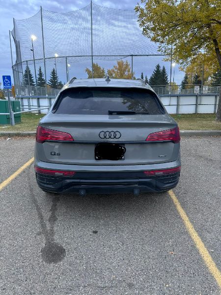 V197945_202610080334011874461.jpeg