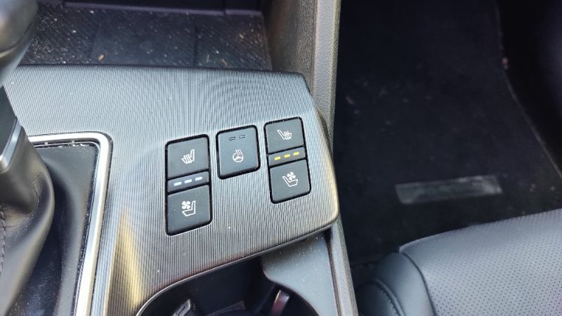 V198174_202609251059157195002.jpg