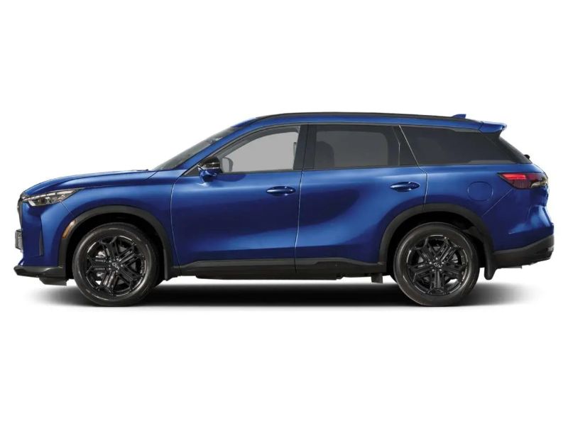V198647_202610020348536647210.jpg
