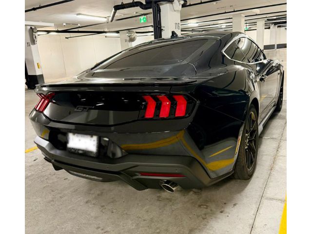 V198726_202610080246268616253.jpg