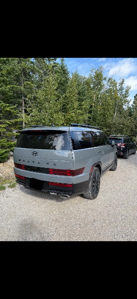 V199330_202610090603546506029.jpg